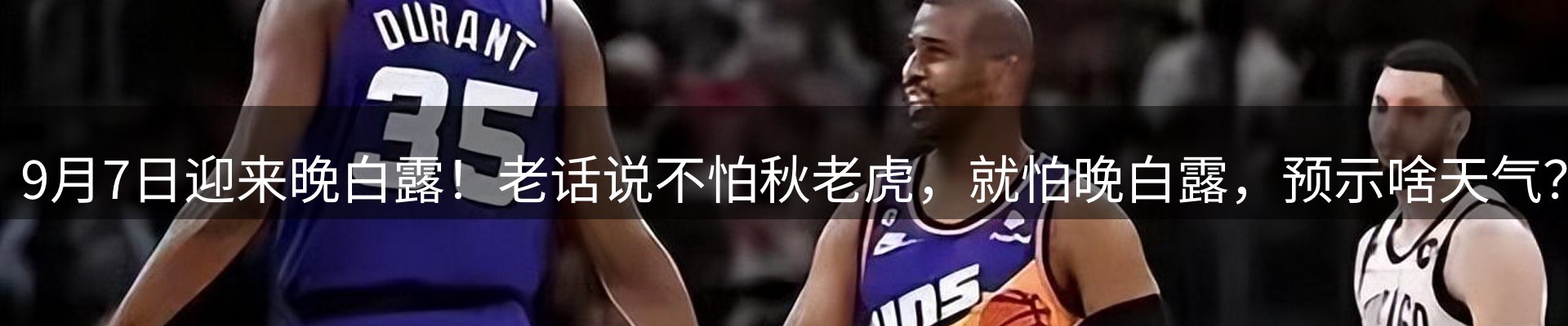 平台视角